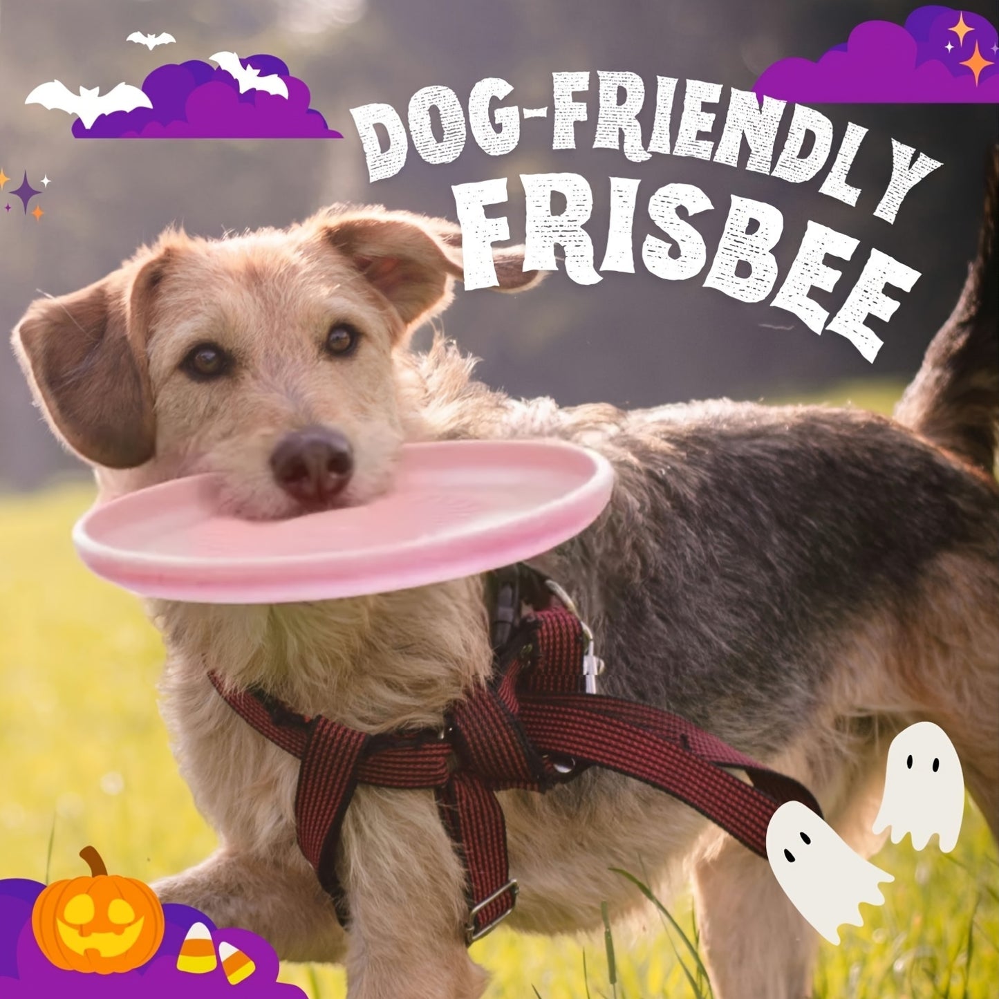 Wham-O Fastback 9.35” Dog flying disc - Heavy-Duty Bite-Resistant Flying Disc, Lightweight & Durable Plastic Chew-Proof Toy with Grip, Pink & Black Design for Fetch, flying disc Training, Outdoor Play - All Dog Sizes, Ideal Gift for Beagles, Labrador Retr