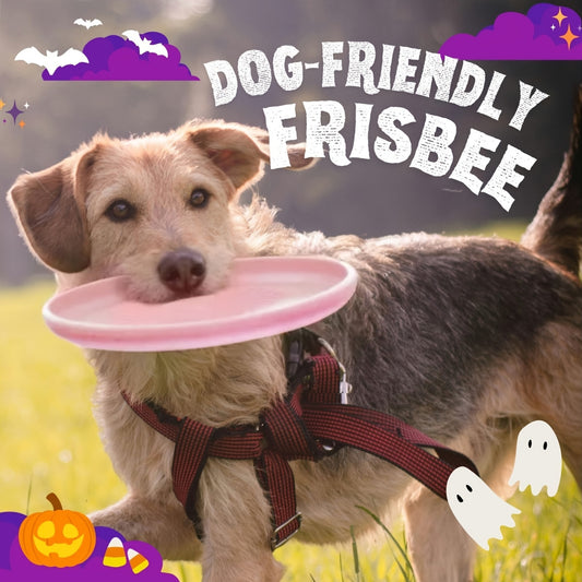 Wham-O Fastback 9.35” Dog flying disc - Heavy-Duty Bite-Resistant Flying Disc, Lightweight & Durable Plastic Chew-Proof Toy with Grip, Pink & Black Design for Fetch, flying disc Training, Outdoor Play - All Dog Sizes, Ideal Gift for Beagles, Labrador Retr